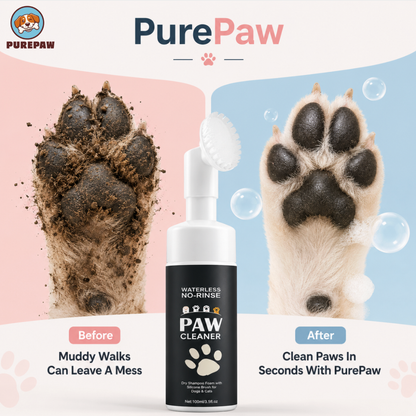 Buy 1 Get 1 Free Pure Paw Fresh Foam